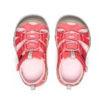 Toddlers' Seacamp II CNX  |  Dubarry/Giggle Pink