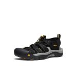 Men's Newport H2 Sandal | Black