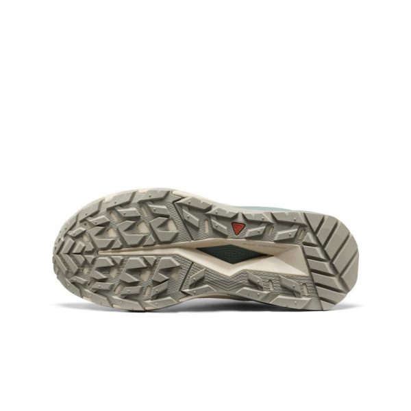 Women's Targhee Apex Waterproof Hiking Shoe | Abbey Stone/Birch