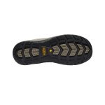 Men's Flint II Waterproof (Steel Toe) | Cascade Brown/Orion Blue