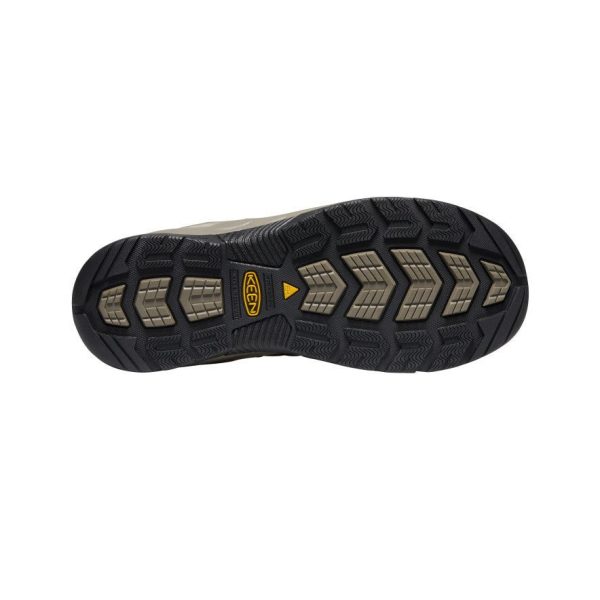 Men's Flint II Waterproof (Steel Toe) | Cascade Brown/Orion Blue
