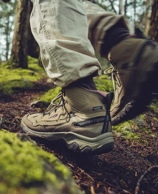 Women's Targhee IV Wide Waterproof Hiking Boot | Brindle/Nostalgia Rose