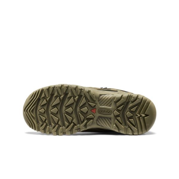 Men's Targhee EXP Waterproof Hiking Boot  |  Martini Olive/Martini Olive