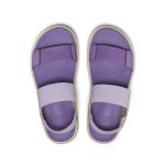 Women's Elle Mila Backstrap Sandal  |  Thistle/Purple Haze